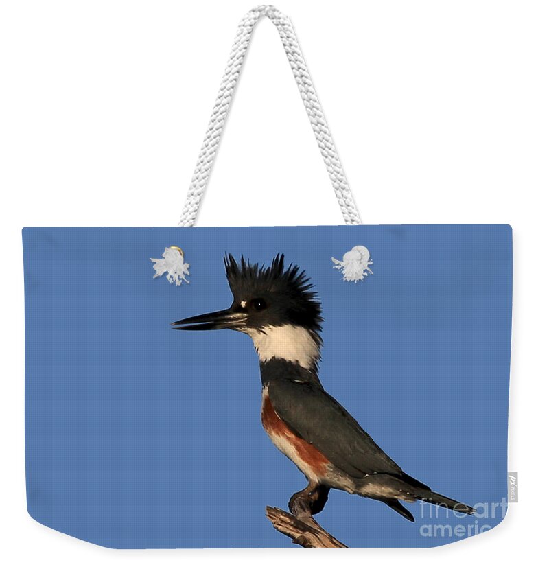 Belted Kingfisher Weekender Tote Bag featuring the photograph Belted Kingfisher by Meg Rousher