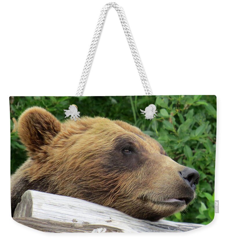 Bear Weekender Tote Bag featuring the photograph Ben by Creative Solutions RipdNTorn