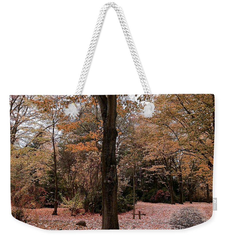 Fall Weekender Tote Bag featuring the photograph Bench in the park by Ivy Ho