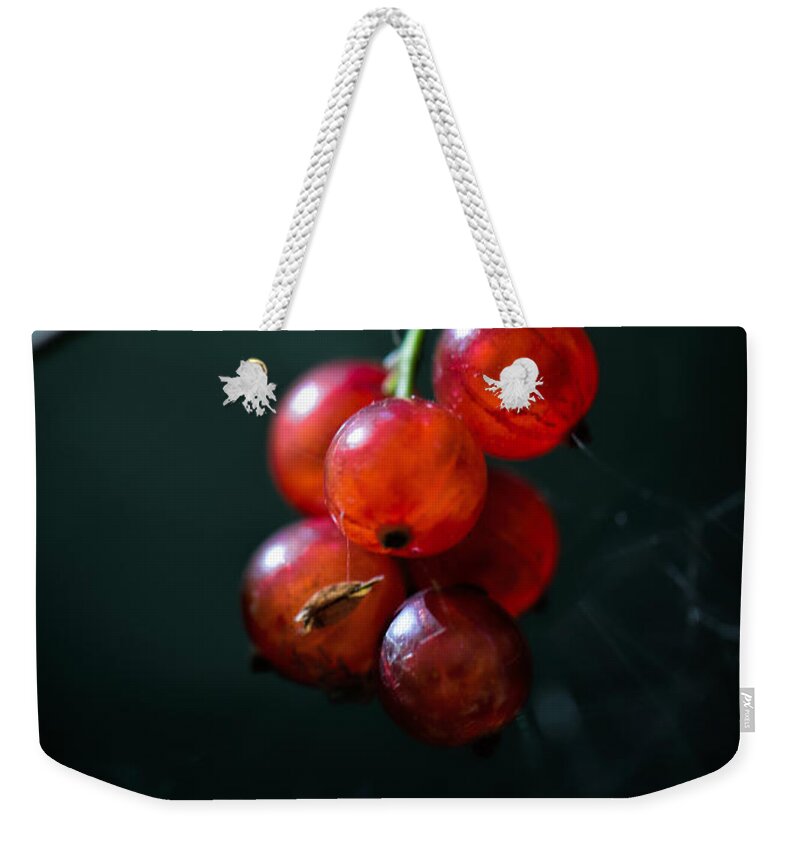 Berry Weekender Tote Bag featuring the photograph Berries by Leif Sohlman