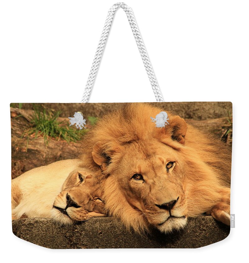 Lion Weekender Tote Bag featuring the photograph Best Friends for Life by Laddie Halupa