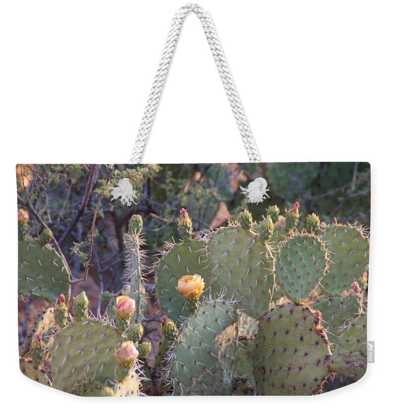 David S Reynolds Weekender Tote Bag featuring the photograph Between The Thorns by David S Reynolds