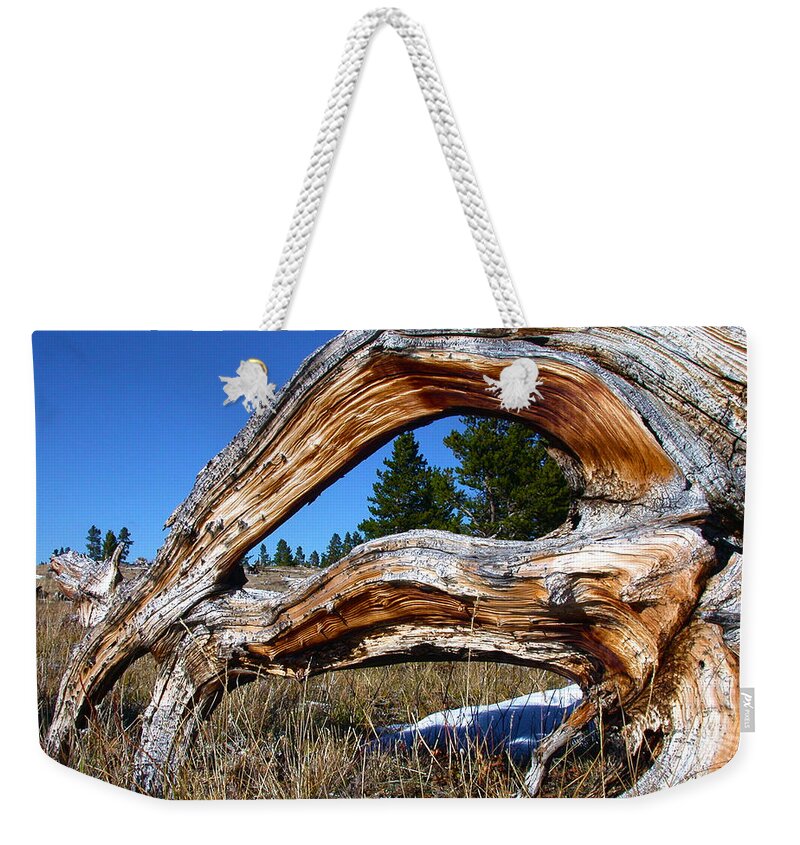 Tree Weekender Tote Bag featuring the photograph Beyond Our Roots by Shane Bechler