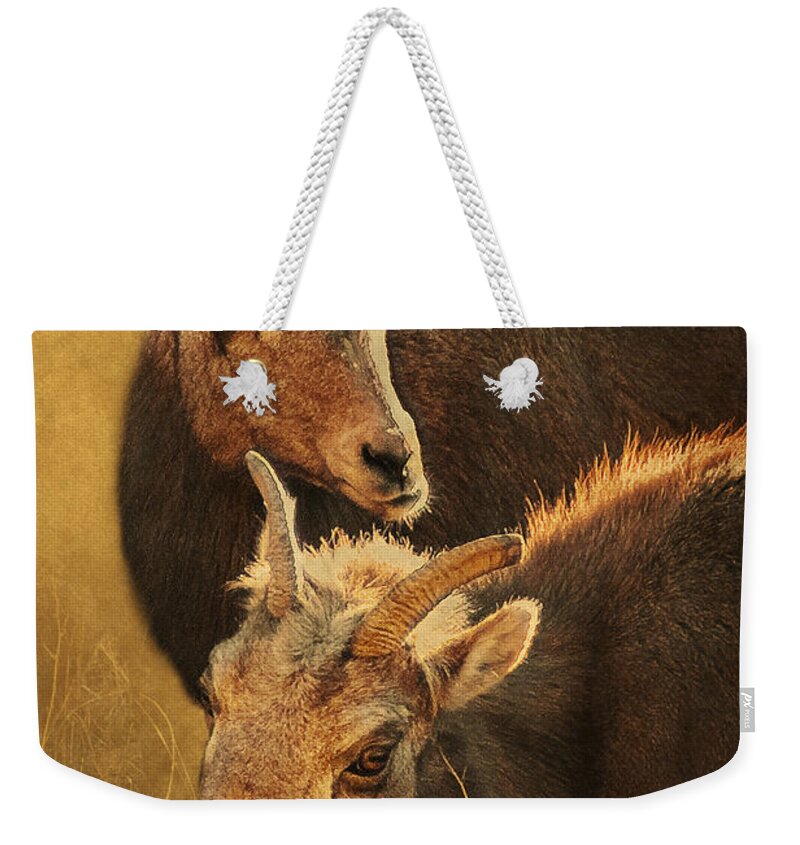 Bighorn Sheep Weekender Tote Bag featuring the photograph Bighorn Sheep of the Arkansas River by Priscilla Burgers