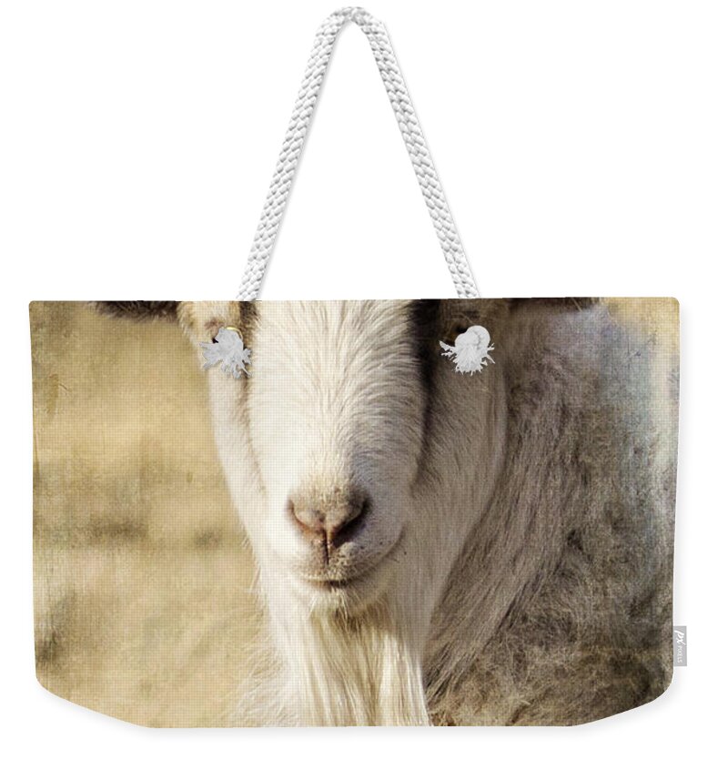 Goat Weekender Tote Bag featuring the photograph Billy Goat by Pam Holdsworth