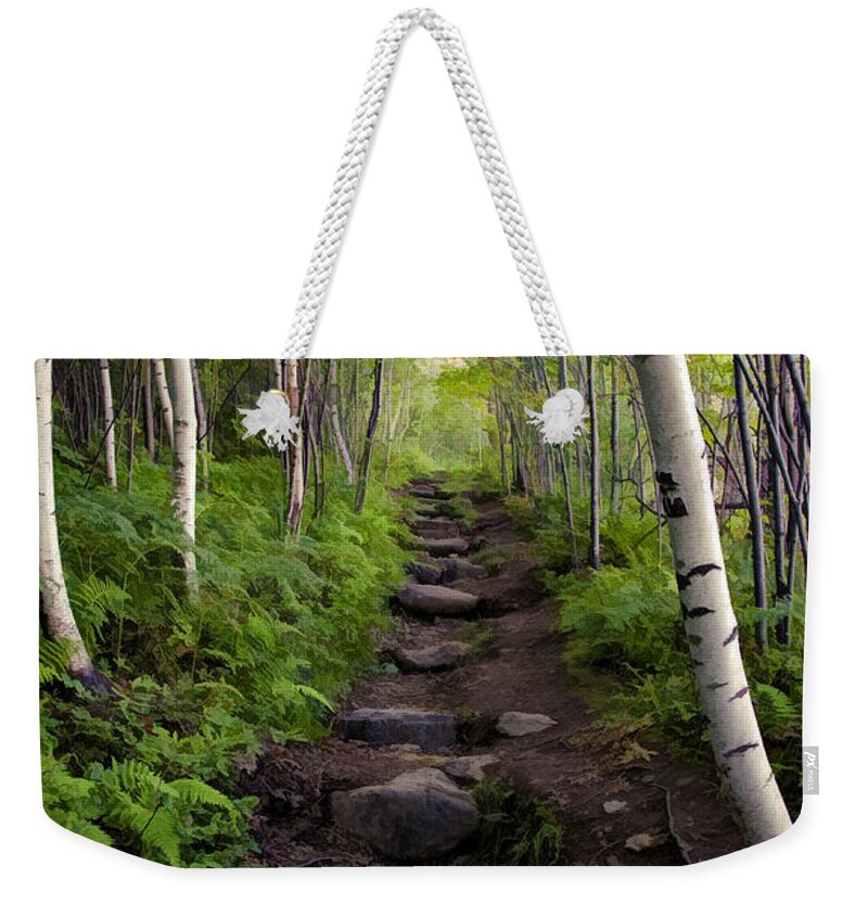 Hike Weekender Tote Bag featuring the photograph Birch Woods Hike by Donna Doherty