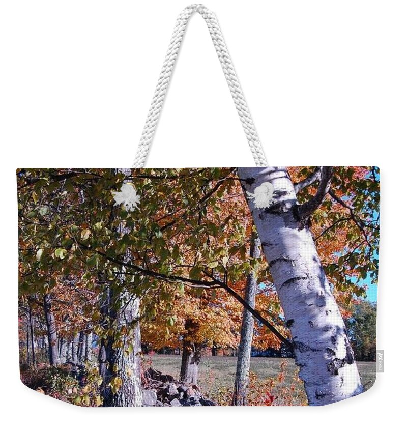 Nh Weekender Tote Bag featuring the photograph Birches by Mim White