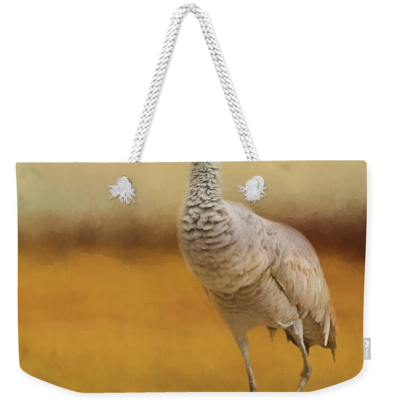 A Quiet Walk Weekender Tote Bag featuring the painting Bird Art - A Quiet Walk by Jordan Blackstone
