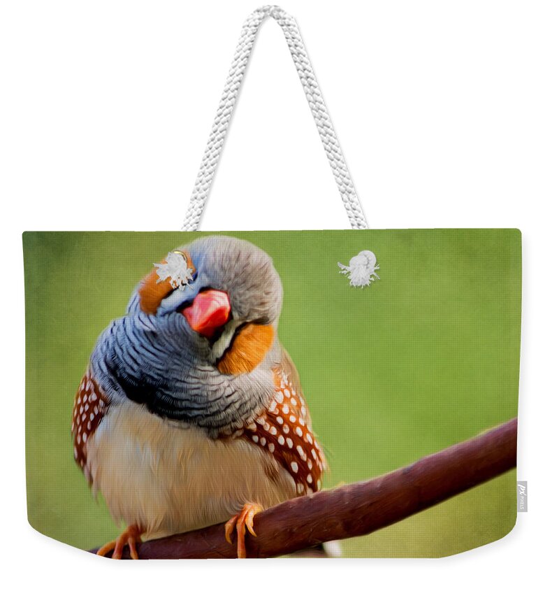 Change Your Opinions Weekender Tote Bag featuring the painting Bird Art - Change Your Opinions by Jordan Blackstone