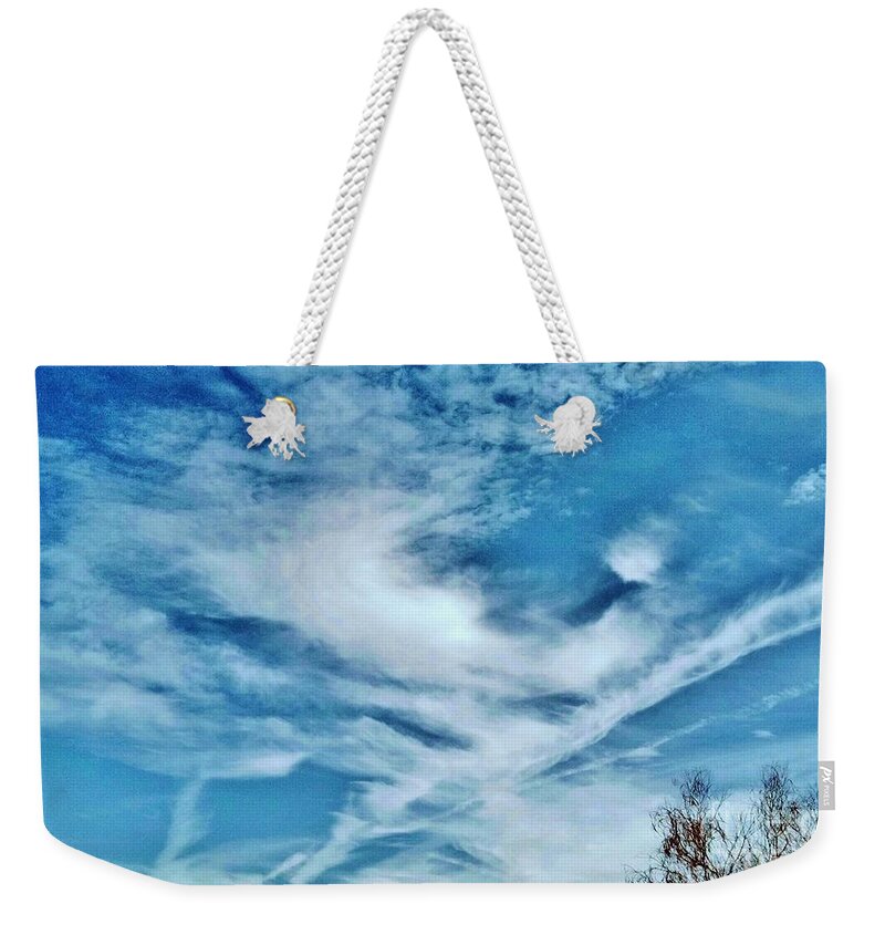 Esert Cloudy Sky Weekender Tote Bag featuring the photograph BirD CLouD SoaRinG By by Angela J Wright