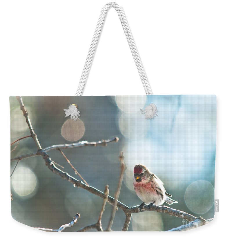 Landscapes Weekender Tote Bag featuring the photograph Bird in Bokeh by Cheryl Baxter