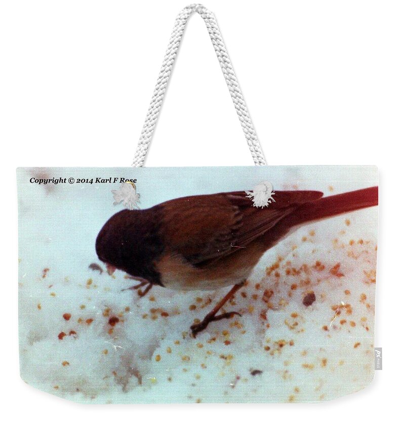 Birds Weekender Tote Bag featuring the photograph Bird in snow 2 by Karl Rose