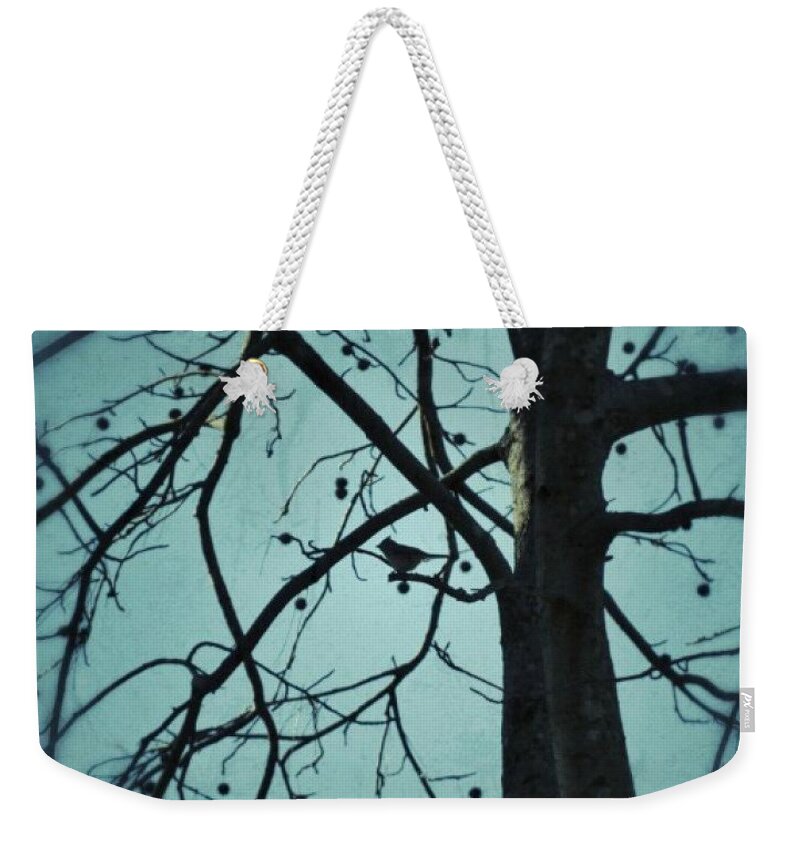 Bird Weekender Tote Bag featuring the photograph Bird in Tree by Tara Potts