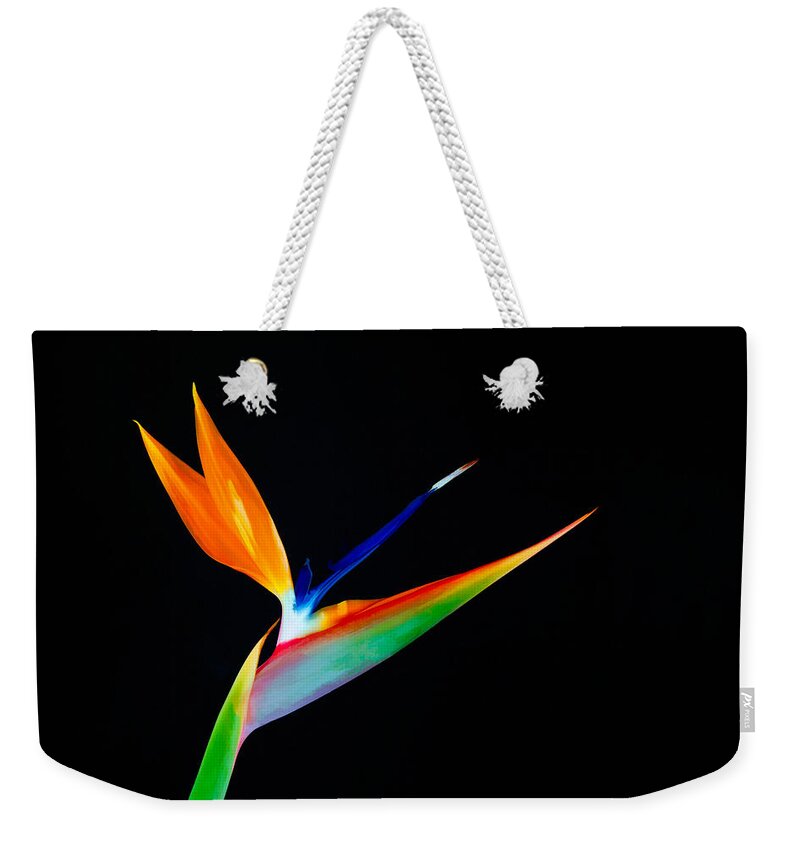 Bird Of Paradise Weekender Tote Bag featuring the photograph Bird of Paradise by Ram Vasudev
