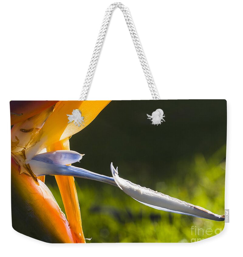 Australia Weekender Tote Bag featuring the photograph Bird of Paradise by Steven Ralser