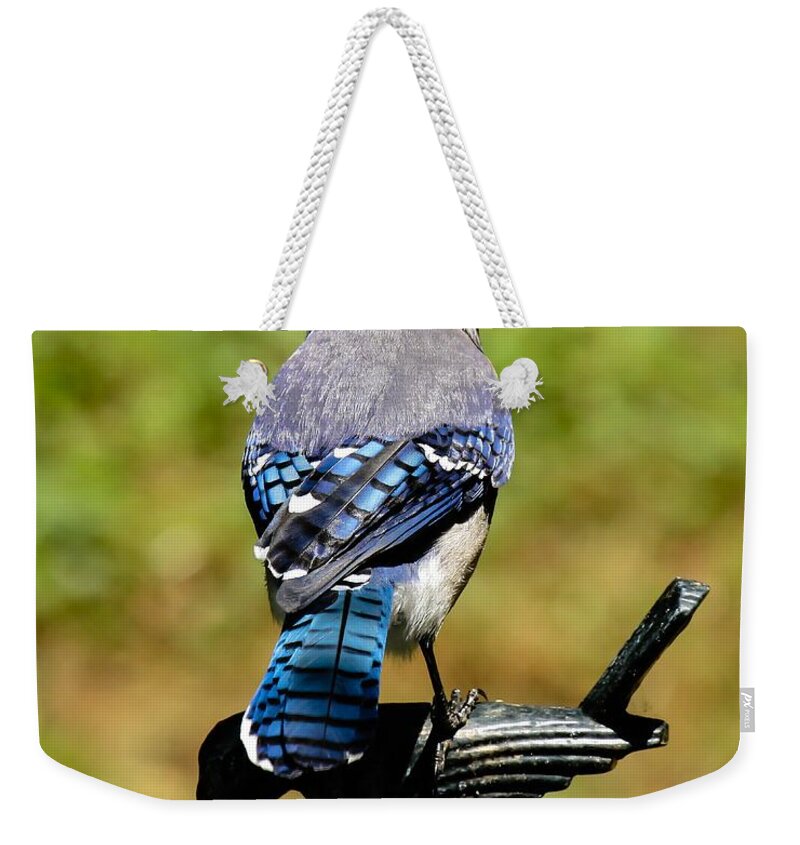 Bluejay Weekender Tote Bag featuring the photograph Bird on a bird by Robert L Jackson