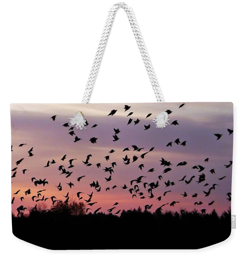 Birds Weekender Tote Bag featuring the photograph Birds at Sunrise by Aimee L Maher ALM GALLERY