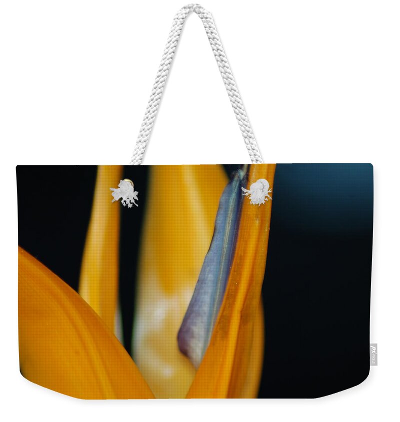 Flower Weekender Tote Bag featuring the photograph Birds of Paradise by Matt Quest