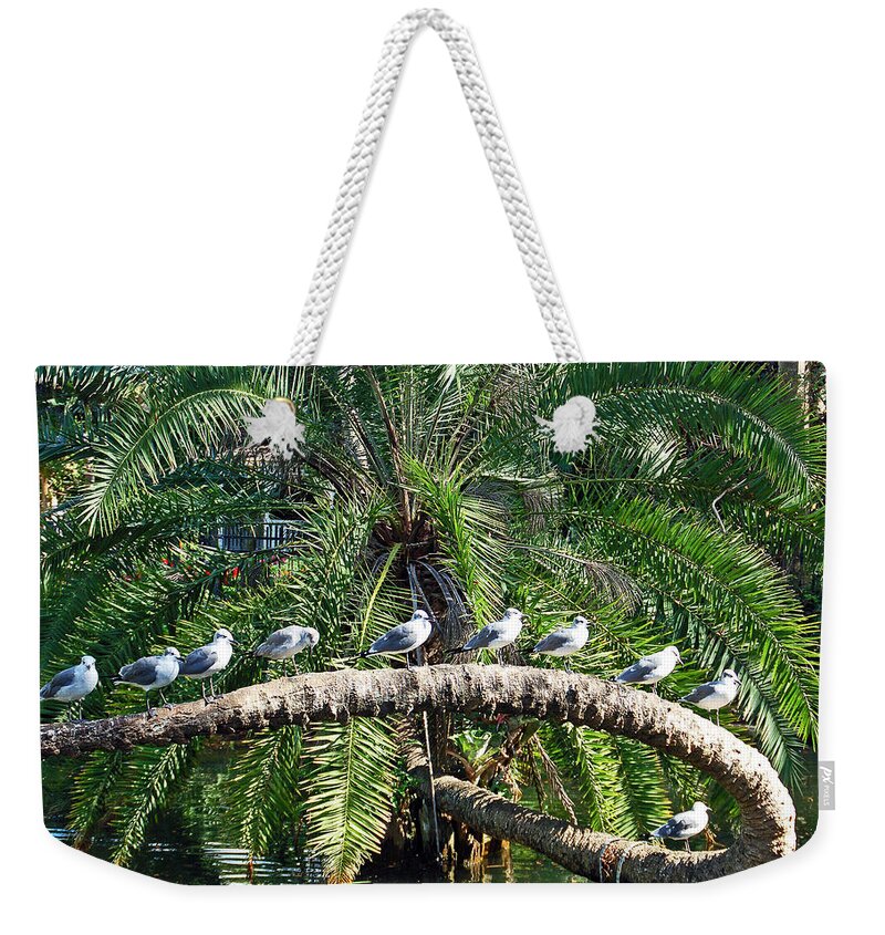 Bird Weekender Tote Bag featuring the photograph Birds on a Branch by Aimee L Maher ALM GALLERY