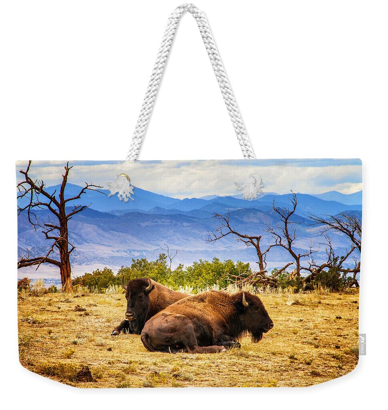 Colorado Weekender Tote Bag featuring the photograph Bison Bison by Juli Ellen