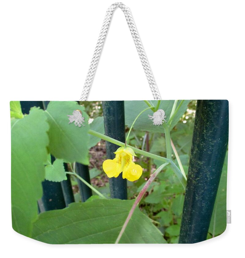  Yellow Weekender Tote Bag featuring the photograph Bisset Park Jewel by Kendall Kessler