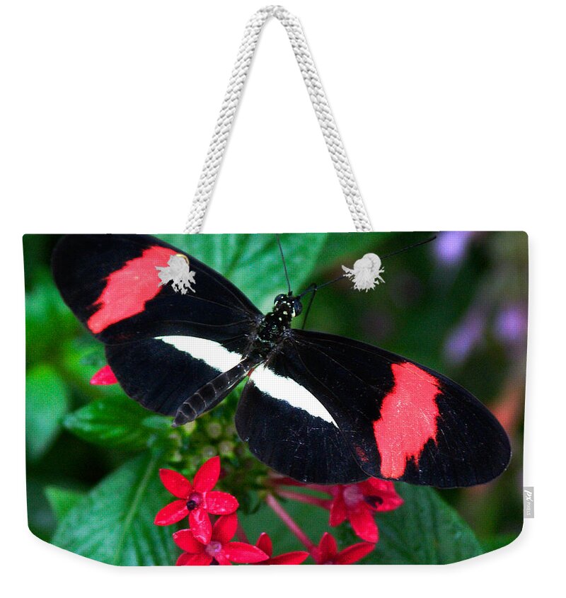 Karen Stephenson Photography Weekender Tote Bag featuring the photograph Black and Coral by Karen Stephenson