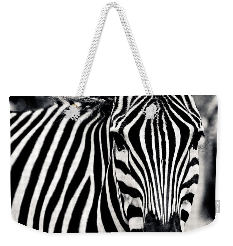 Zebra Weekender Tote Bag featuring the photograph Black and white Zebra Portrait by Maggy Marsh