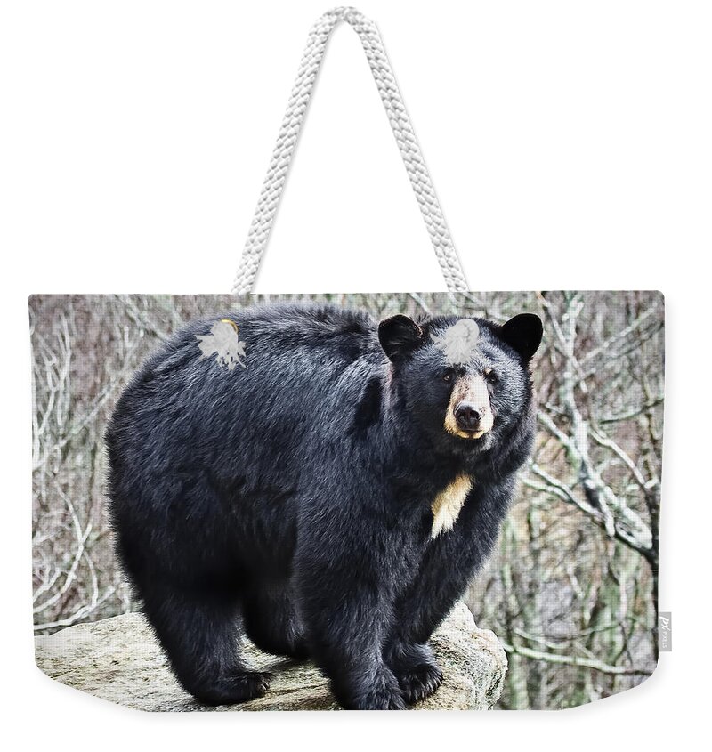Black Bear Weekender Tote Bag featuring the photograph Black Bear by Ronald Lutz