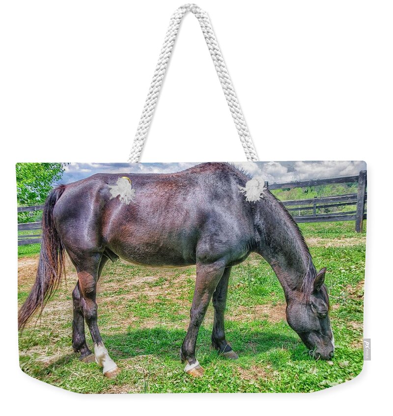 Horses Weekender Tote Bag featuring the photograph Black beauty by Dennis Baswell