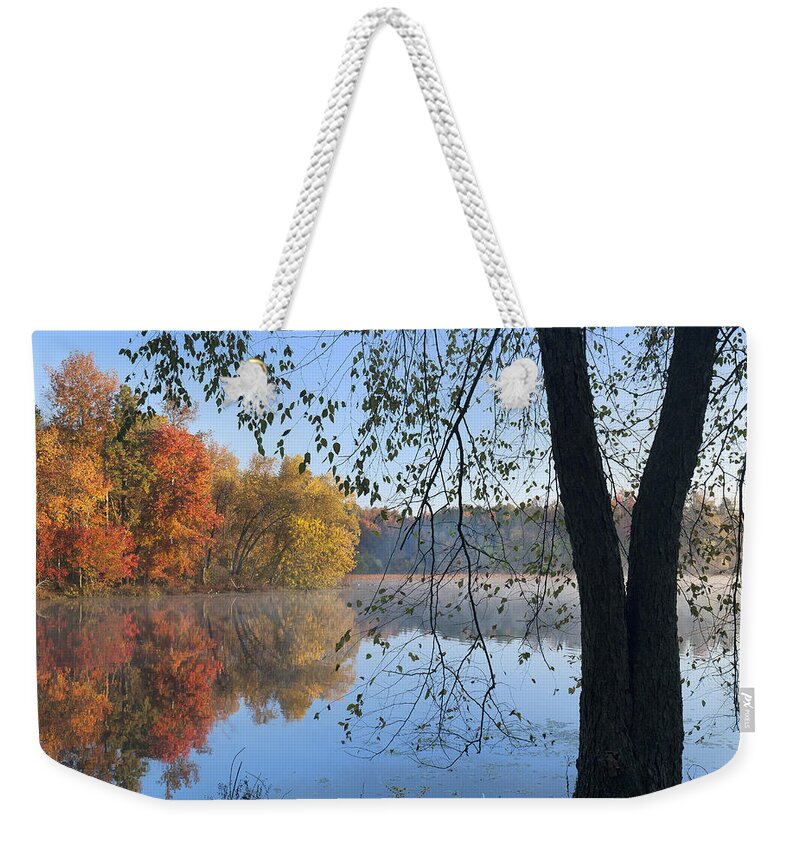Tim Fitzharris Weekender Tote Bag featuring the photograph Black Birch Along Lake Bailee In Petit by Tim Fitzharris