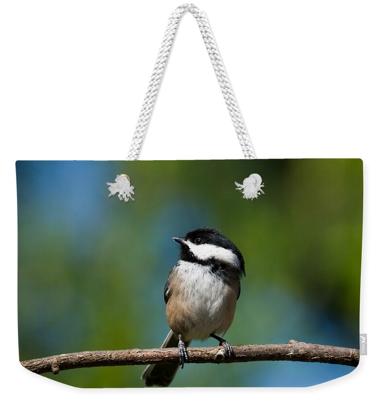 Animal Weekender Tote Bag featuring the photograph Black Capped Chickadee Perched on a Branch by Jeff Goulden