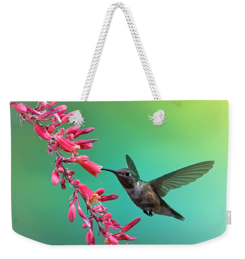 Archilochus Alexandri Weekender Tote Bag featuring the photograph Black Chinned Hummingbird by Mary Lee Dereske