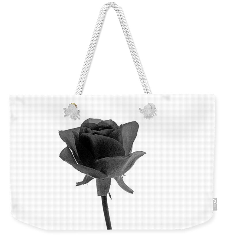 Rose Weekender Tote Bag featuring the photograph Black Rose by Casper Cammeraat