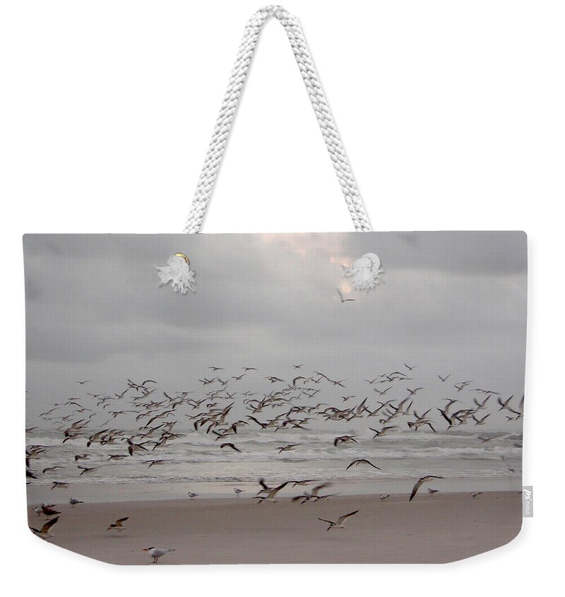 Beach Weekender Tote Bag featuring the photograph Black Skimmers on the beach at dawn by Julianne Felton