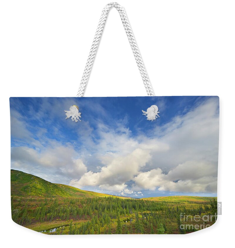 00431045 Weekender Tote Bag featuring the photograph Black Spruce on Fall Tundra by Yva Momatiuk John Eastcott
