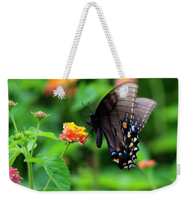 Photography Weekender Tote Bag featuring the photograph Black Swallowtail Among the Flowers by Jackie Farnsworth