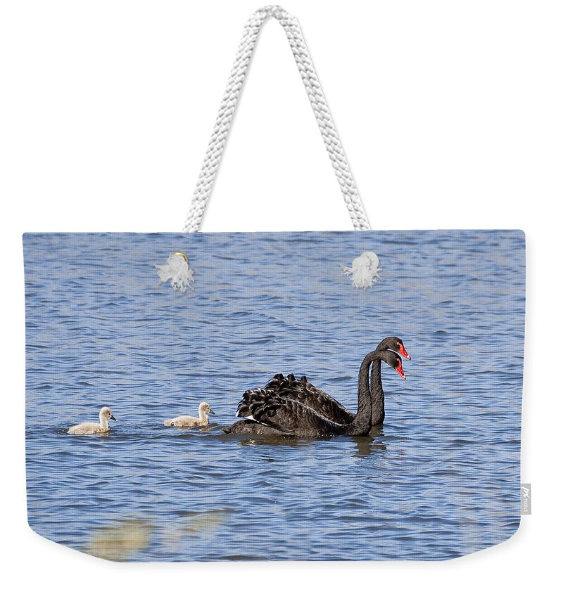 Australia Weekender Tote Bag featuring the photograph Black swans by Steven Ralser