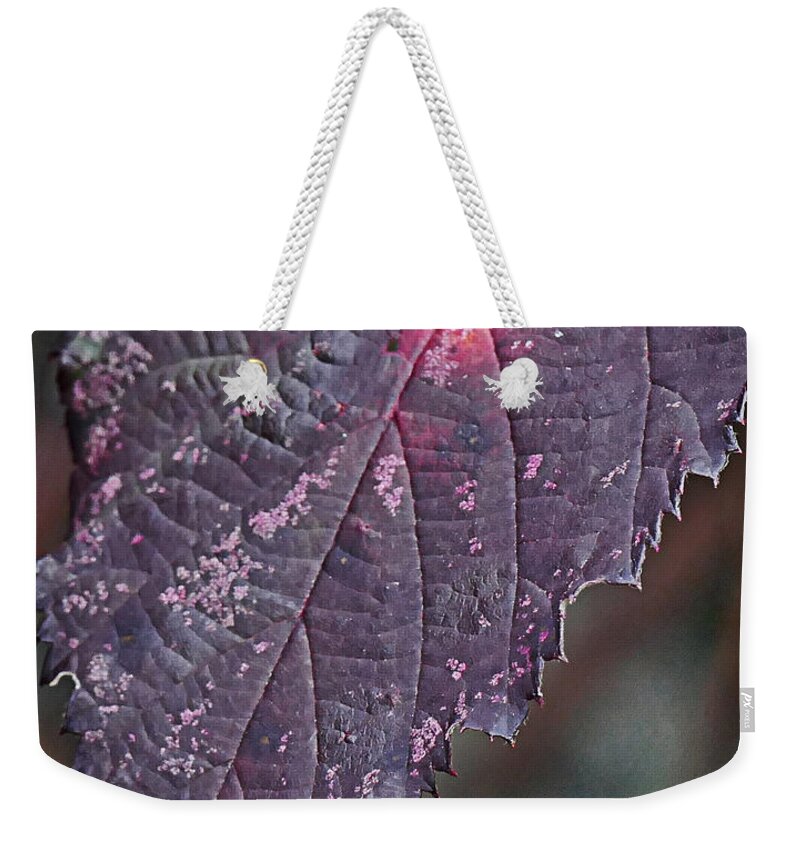 Leaf Weekender Tote Bag featuring the photograph blackberry Leaf by Ron Roberts