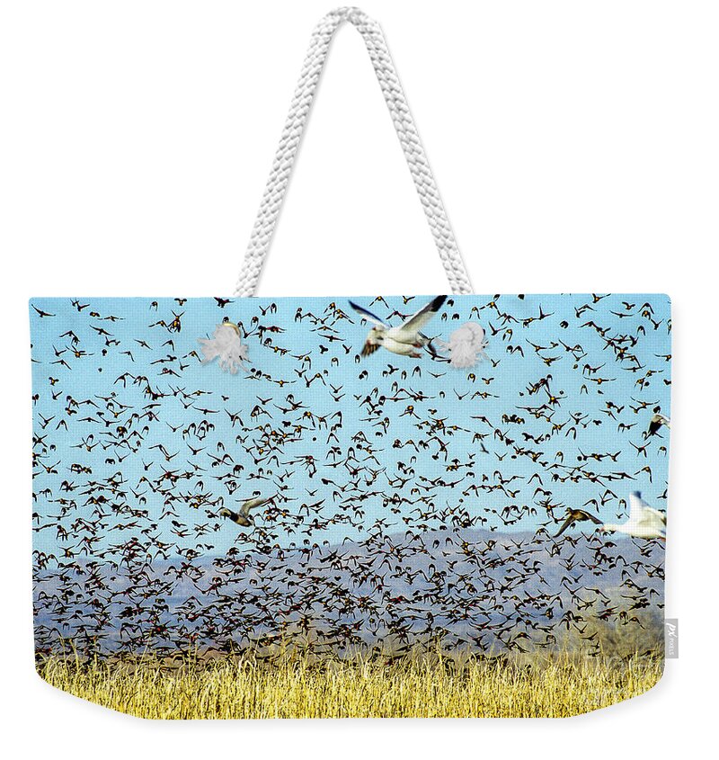 Birds Weekender Tote Bag featuring the photograph Blackbirds and Geese by Steven Ralser