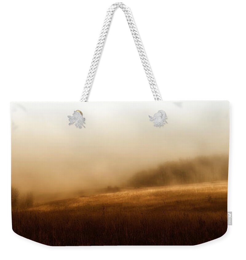 Romance Weekender Tote Bag featuring the photograph Bleak Autumn by Theresa Tahara