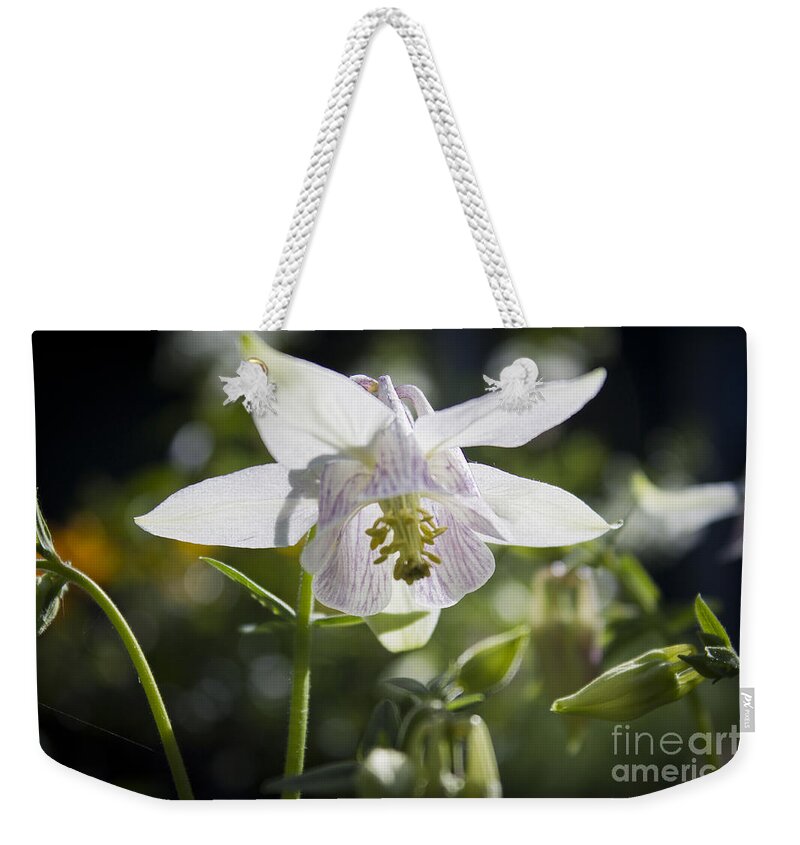 Columbine Weekender Tote Bag featuring the photograph Blooming Columbine by Brad Marzolf Photography