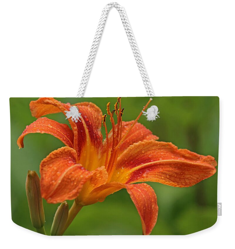 Orange Weekender Tote Bag featuring the photograph Blooming Tiger Lily by Juergen Roth