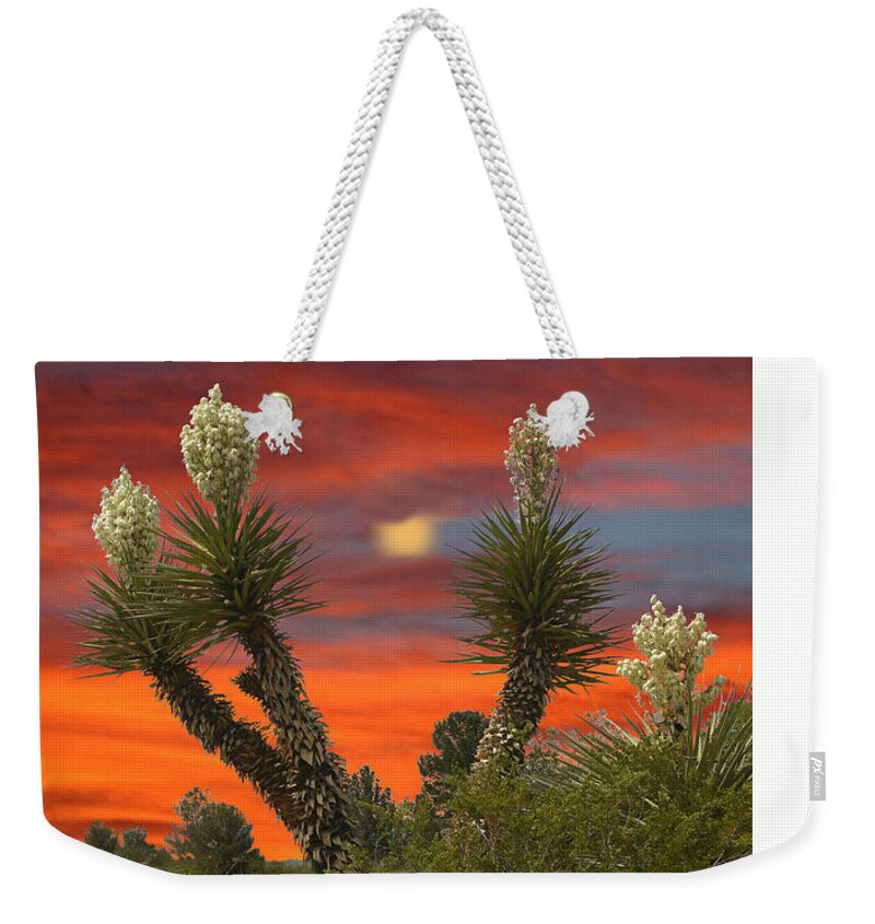 Framed Prints Of Yuccas In Bloom Weekender Tote Bag featuring the photograph Full Blooming Yucca by Jack Pumphrey