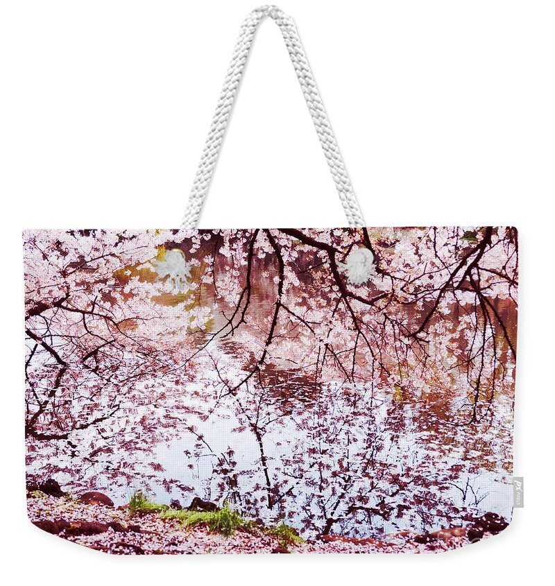 Cherry Blossom Weekender Tote Bag featuring the photograph Blossoming cherry tree branches touching water by Maxim Images Exquisite Prints