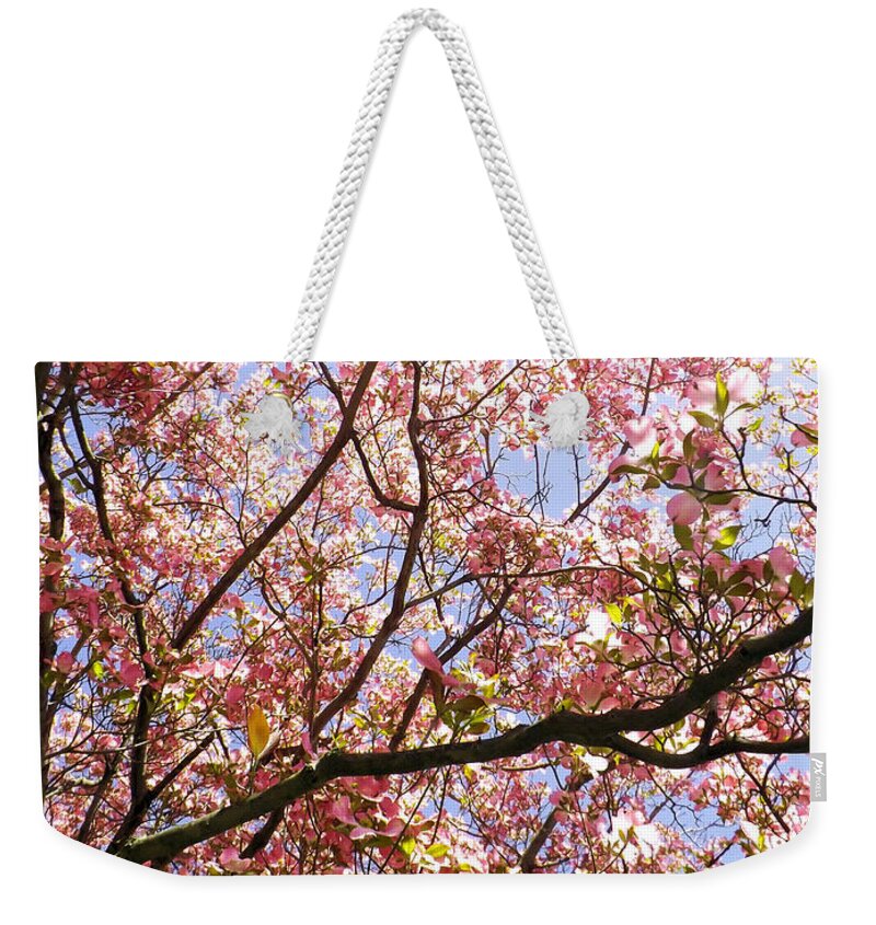 Flowers Weekender Tote Bag featuring the photograph Blossoming Pink by Robyn King