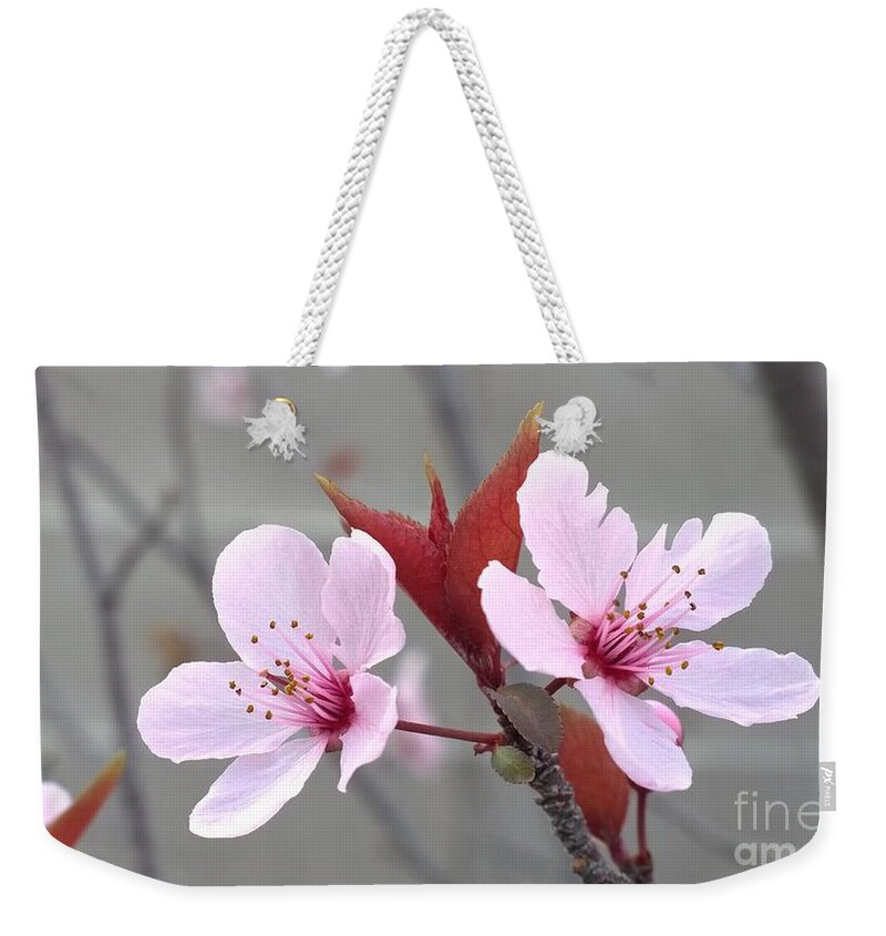Blossoms Weekender Tote Bag featuring the photograph Blossoms of the Japanese plum tree in Las Vegas Nevada 2 by Jennifer E Doll