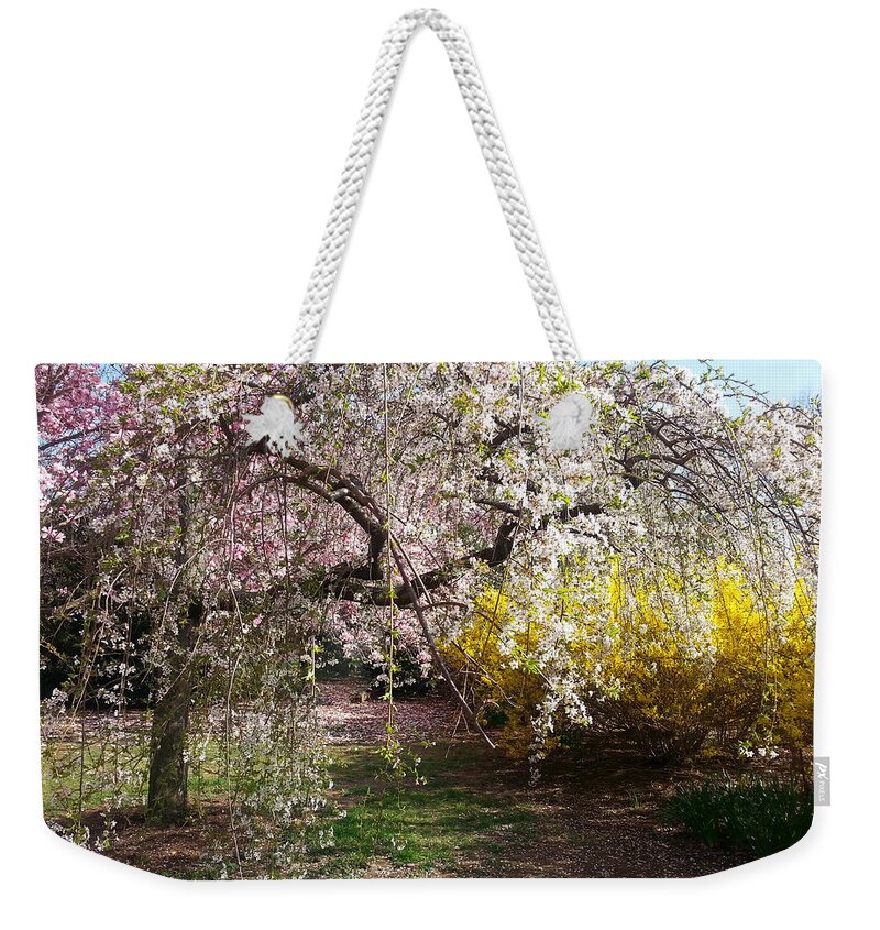 Cherry Blossoms Weekender Tote Bag featuring the photograph Blossoms Potpourri I by Emmy Vickers