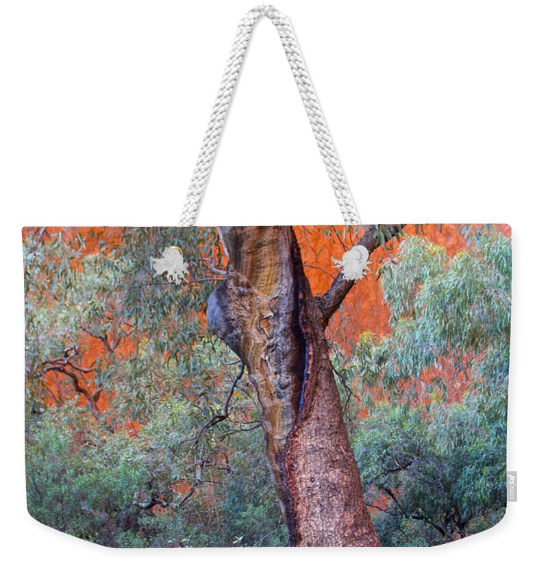 Blue Gum Weekender Tote Bag featuring the photograph Blue Gum Tree by Venetia Featherstone-Witty