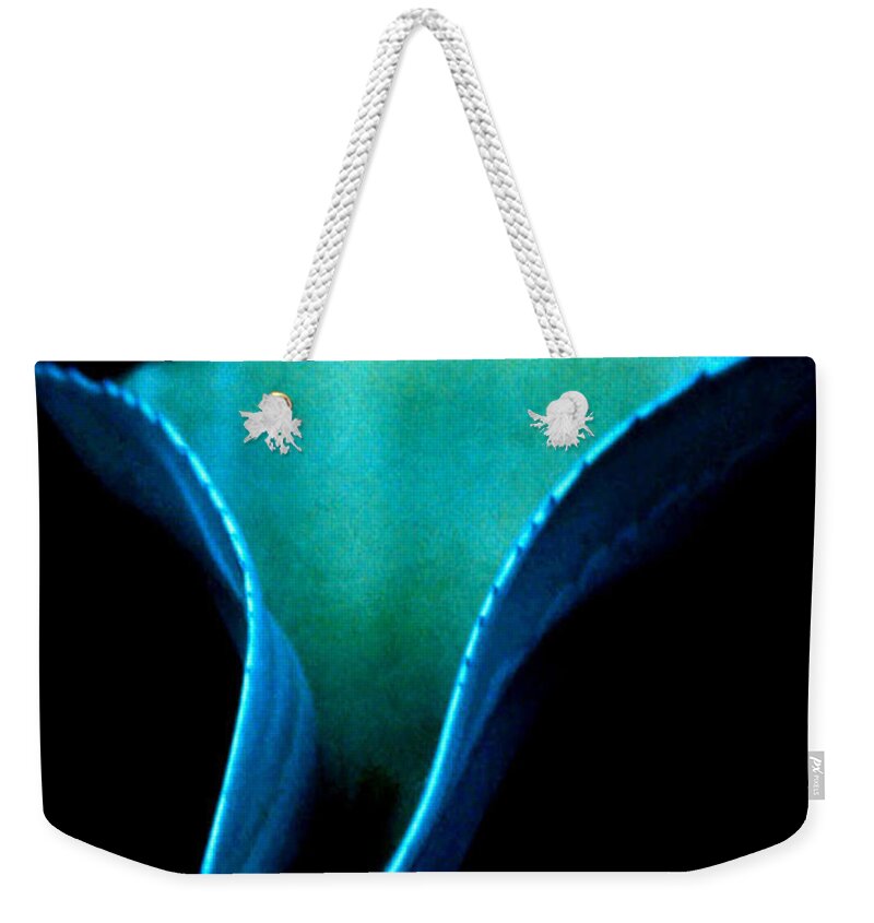 Blue Agave Leaf Succulent Century Plant Blue Turquoise Green Black Leaves Plant Vegetation Arizona Scottsdale Phoenix Tucson Desert Botanical Garden Triangle Point Pointy Weekender Tote Bag featuring the photograph Blue Agave Vertical by Heather Kirk