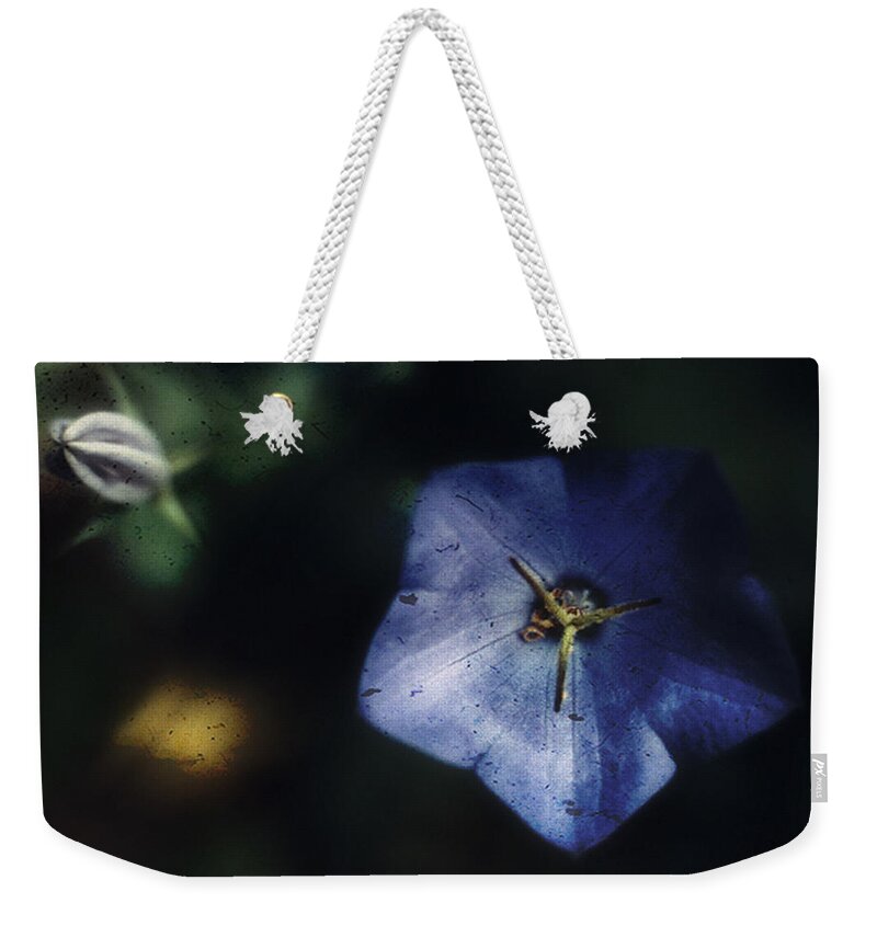 Platycodon Grandiflorus Weekender Tote Bag featuring the photograph Blue Balloon Flower in the Shadows by Louise Kumpf
